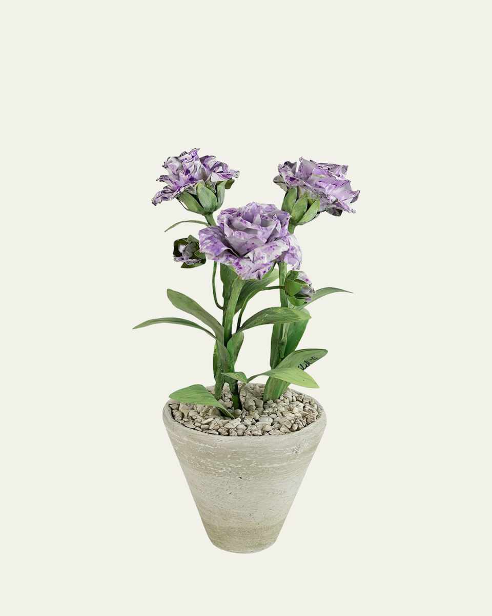 Carnation January Birth Flower in White Terracotta Pot
